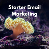 Starter Email Marketing
