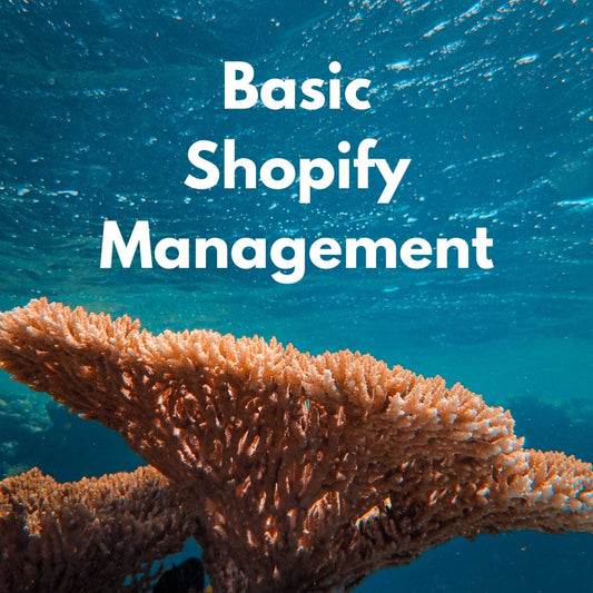 Basic Store Management