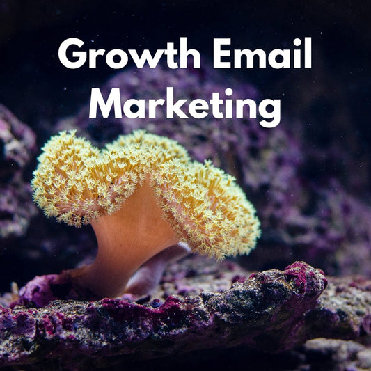 Growth Email Marketing