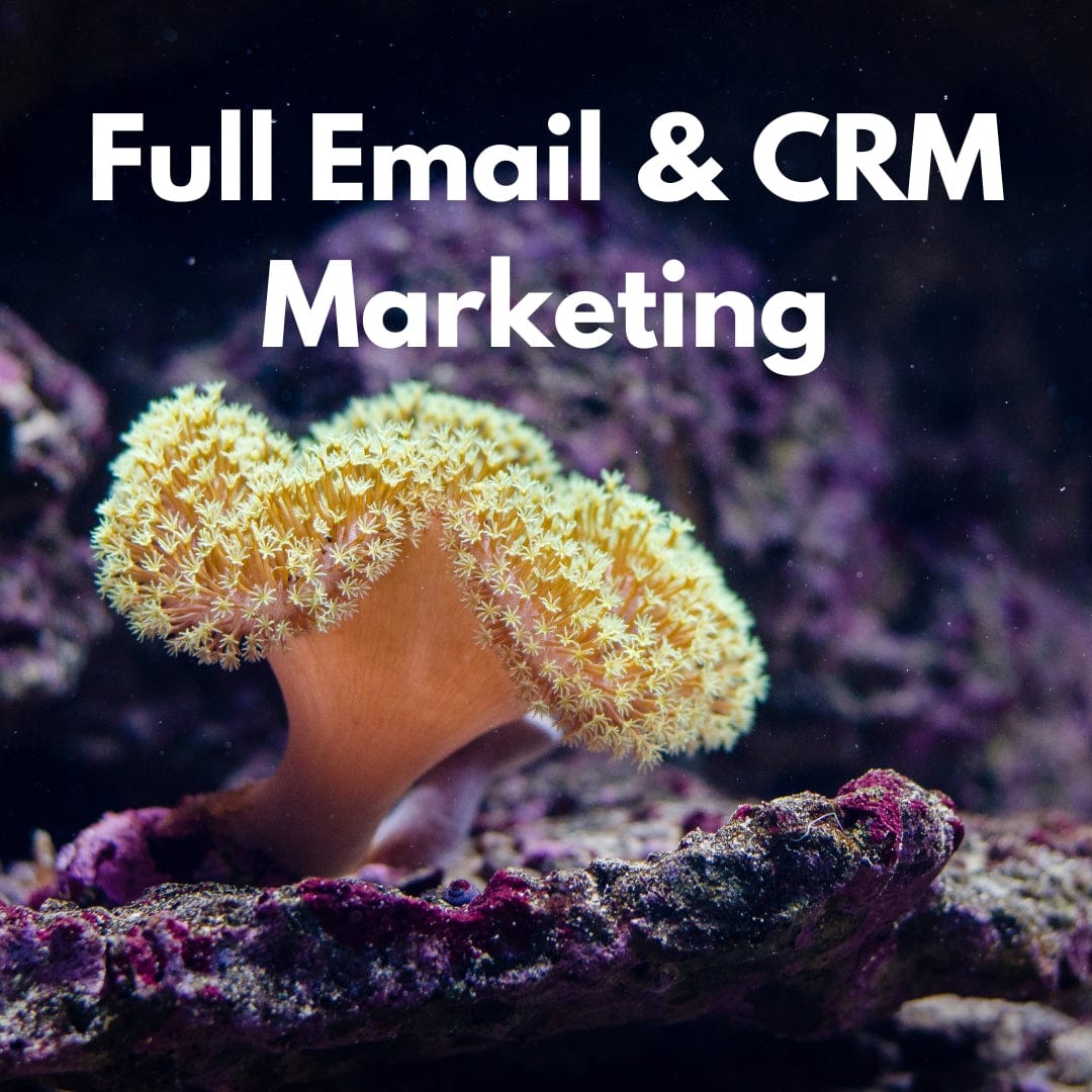 Full Email & CRM Management