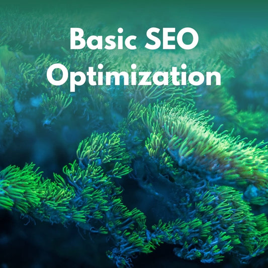 Basic SEO Optimization