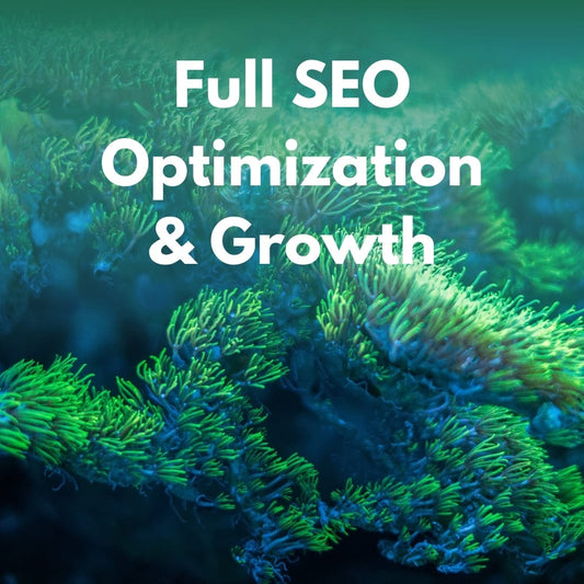 Full SEO & Growth Strategy