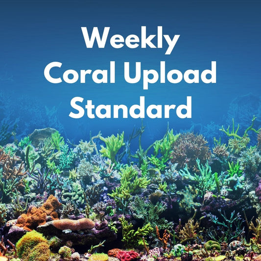 Weekly Standard Coral Upload