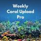 Weekly Pro Coral Upload
