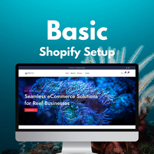Basic Shopify Setup
