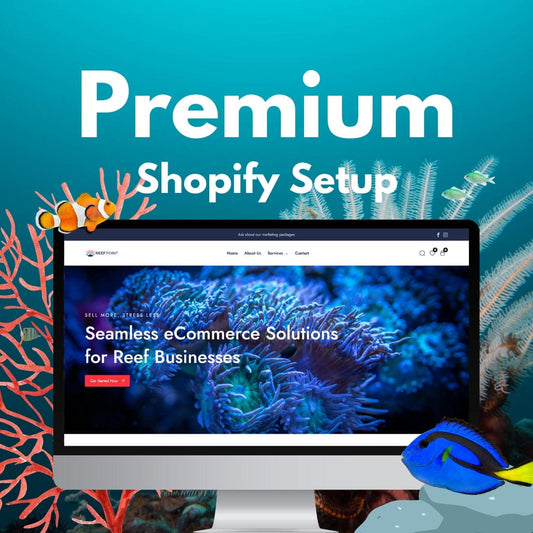 Premium Shopify Setup